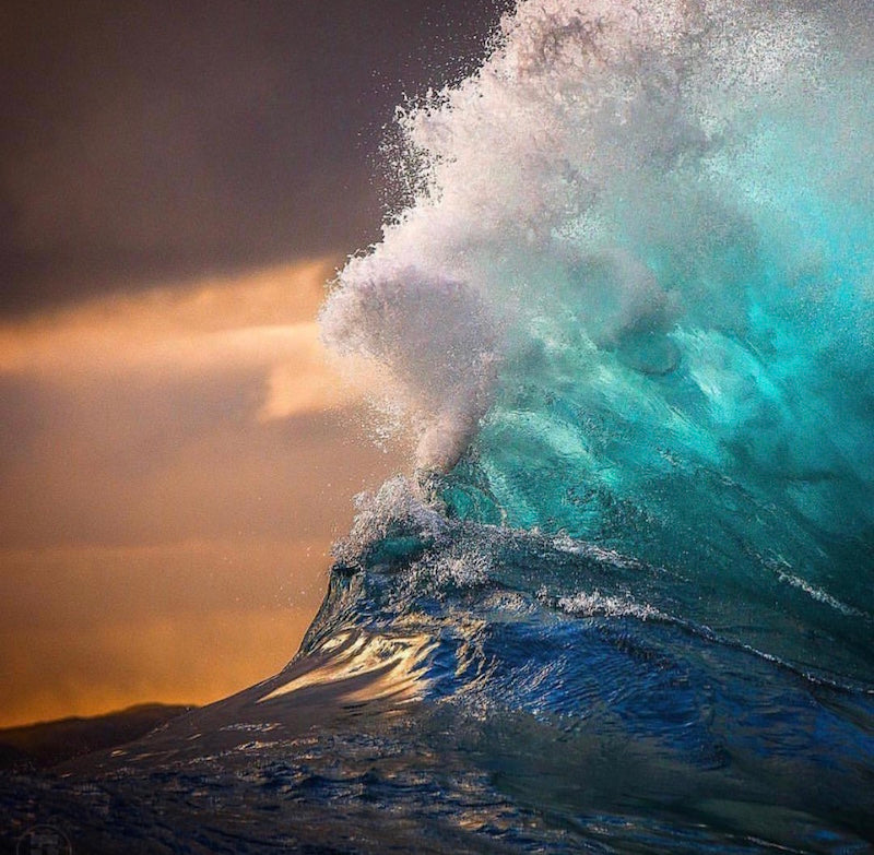 Ditch the lotion for the Oil, Heres Why.