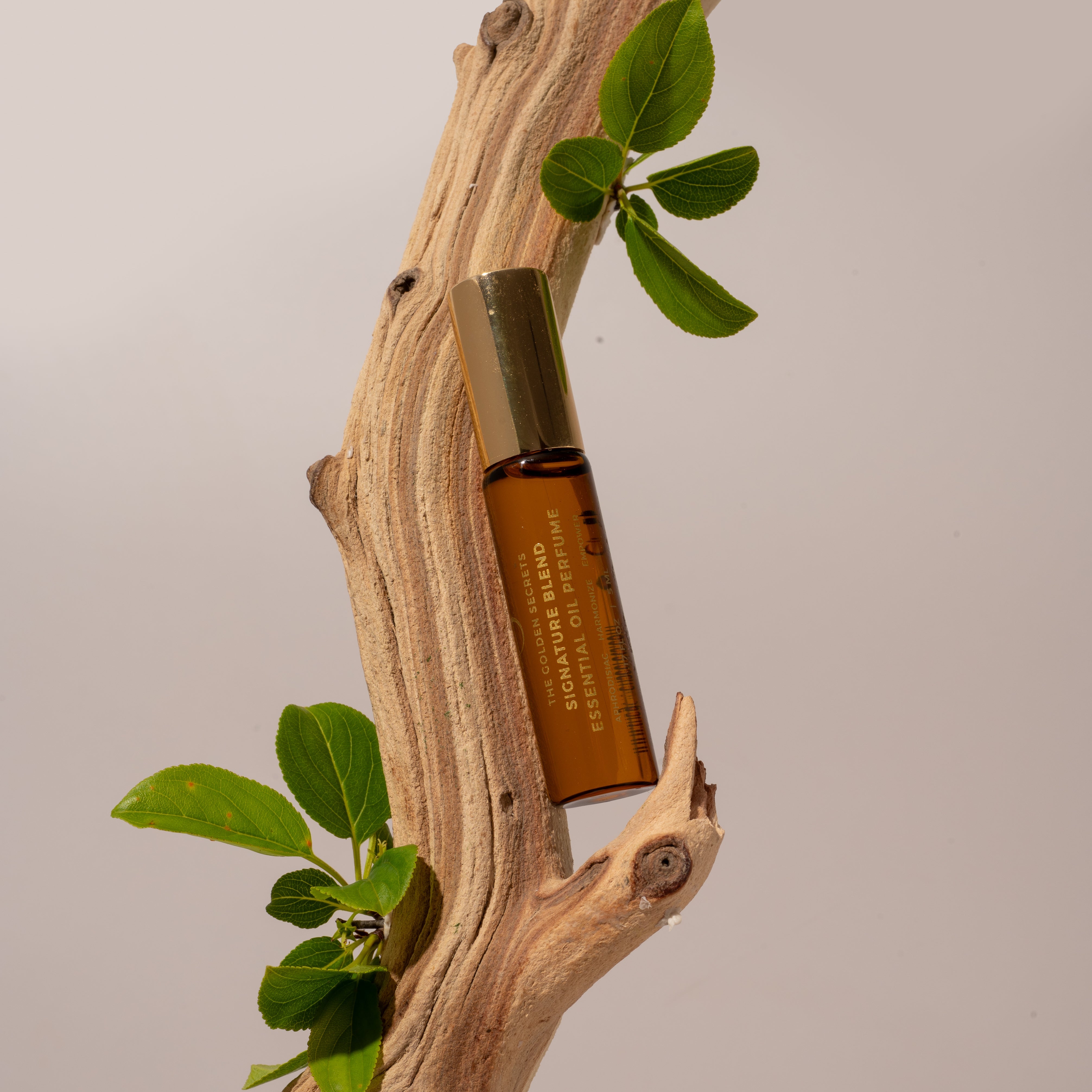 A brown glass bottle of THE GOLDEN SECRETS Signature Blend Essential Oil, topped with a gold cap, rests elegantly on a piece of driftwood adorned with green leaves, set against a light beige background—an inviting display that hints at the unique and alluring fragrance inside.