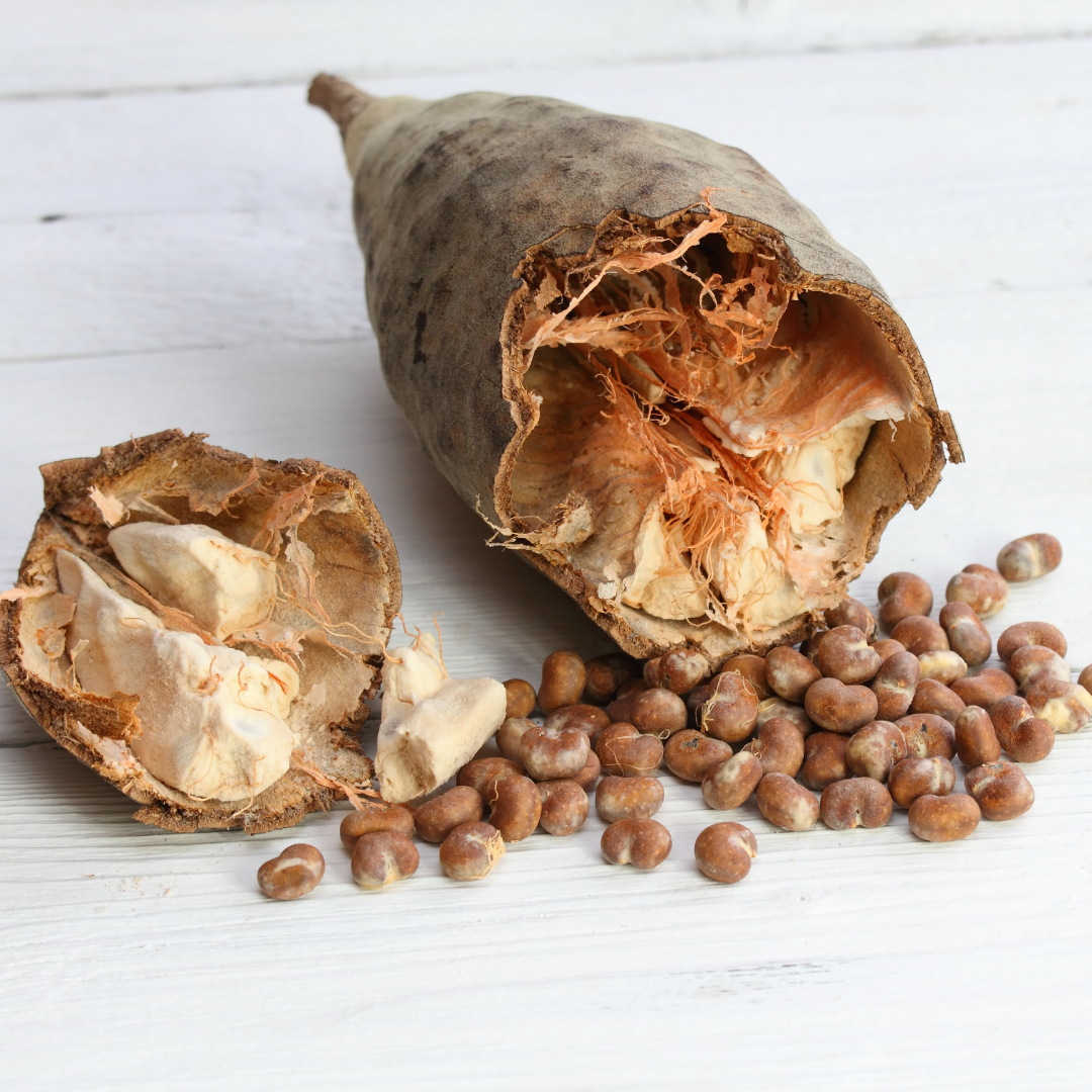 Ingredients_21_b353bc0b-62d8-43c9-910a-6dd48ed0e671.png