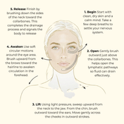 The illustrated skincare guide, designed by THE GOLDEN SECRETS, features a woman's face demonstrating the five labeled massage steps of the Lymph & Lift Kit: Begin, Open, Lift, Awaken, Release. Arrows clearly indicate massage directions and concise descriptions explain each technique. Soft, natural hues emphasize the holistic routine, which is ideal for use alongside facial dry brushing or with a nourishing face oil to boost your results.