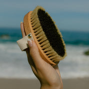 Ionic Copper Dry Brush